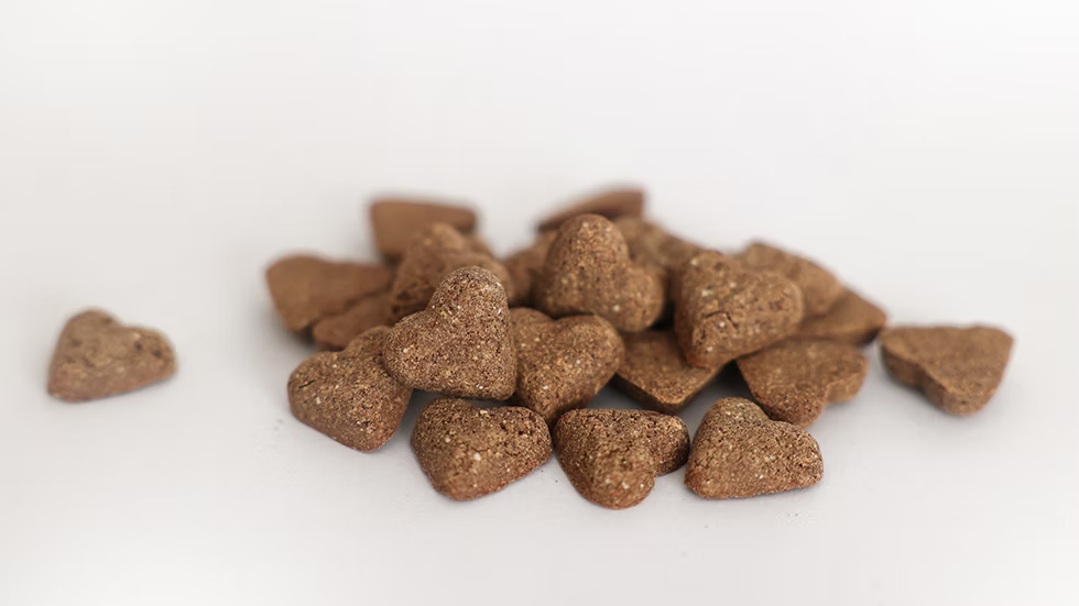 Sugar Brook Natural Pet All Natural Healthy Functional Dog Treats