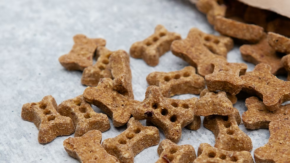 Sugar Brook Natural Pet Mini Dog Treats
