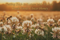 WALNUT CREEK FOODS Pure Clover Honey Get Back To Nature