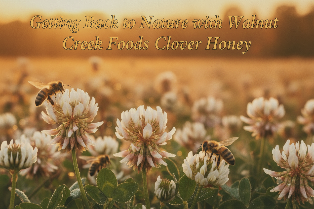 WALNUT CREEK FOODS Pure Clover Honey Get Back To Nature